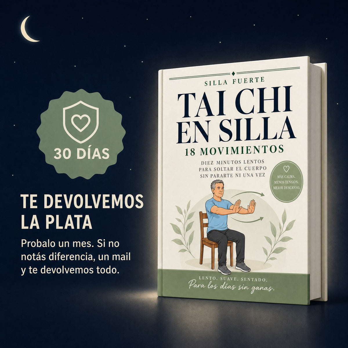 Tai Chi en Silla (libro digital en PDF)