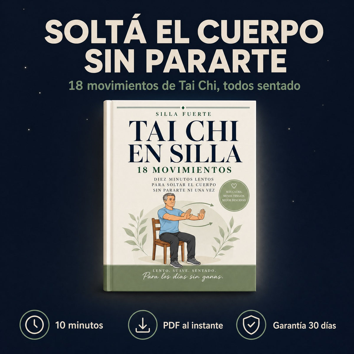 Tai Chi en Silla (libro digital en PDF)