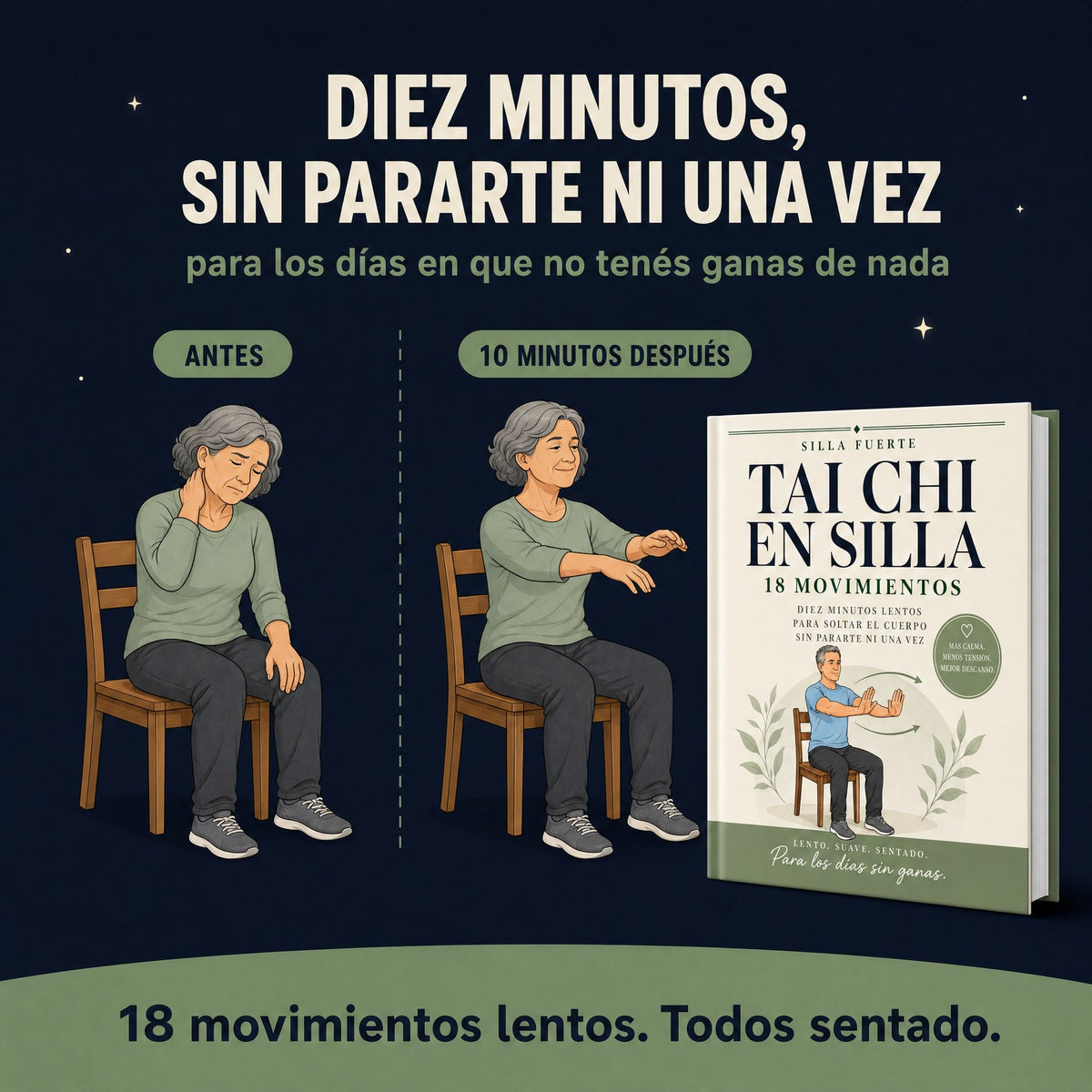 Tai Chi en Silla (libro digital en PDF)